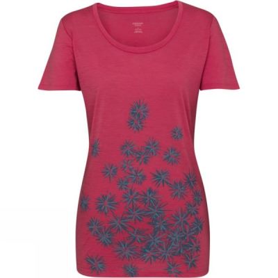 Tee Icebreaker Drifter Manga Corta Scoop Neck Mujer Rosas - Chile HXQ653049